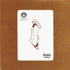 Cirque Du Soleil - Temperatio (Jesse Calosso Remix)