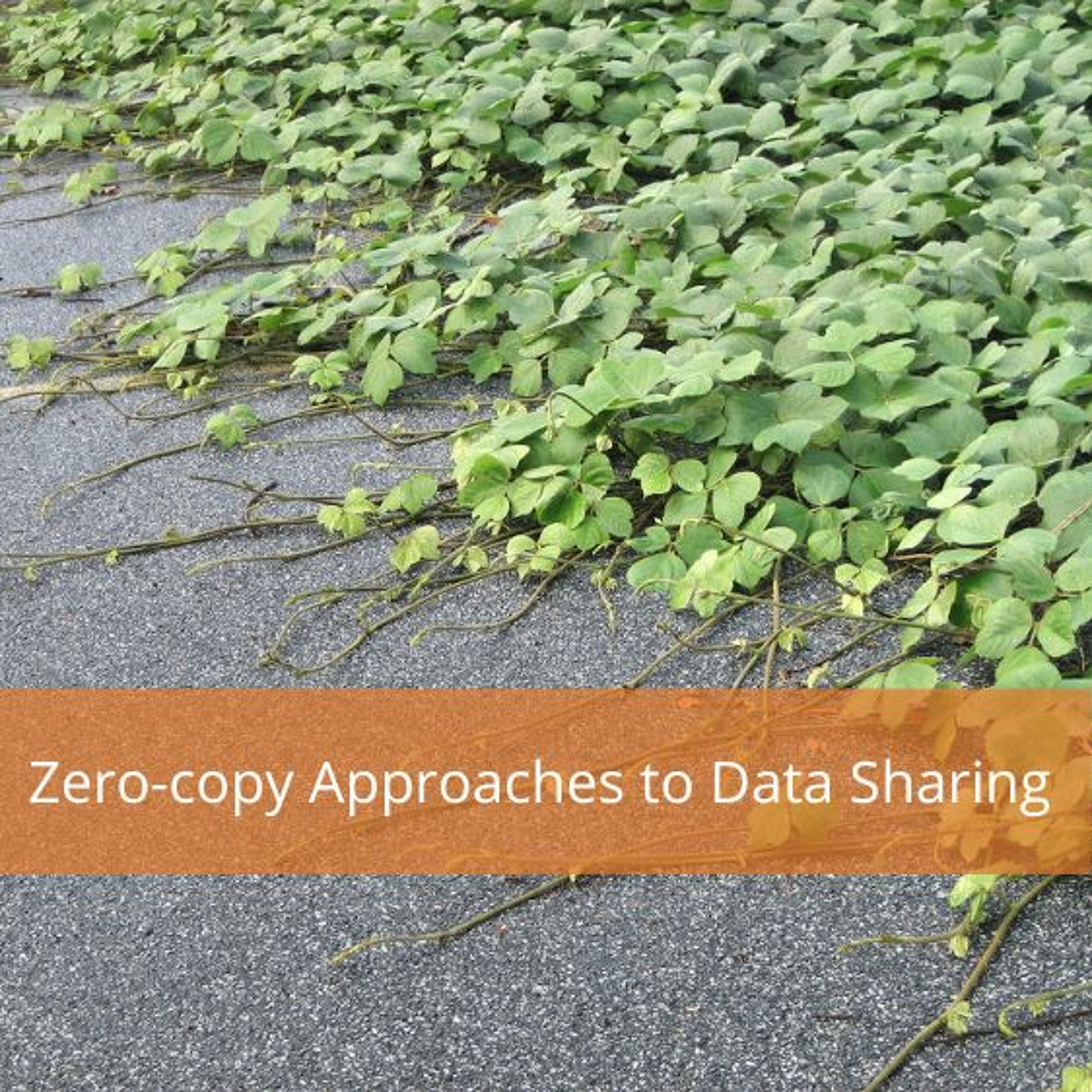 cover of episode Zero-Copy Approaches To Data Sharing - Audio Blog
