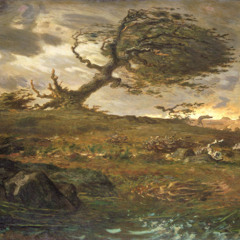 Wind