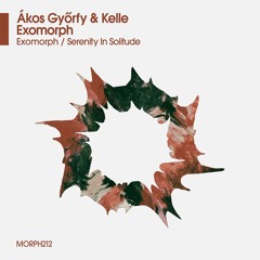 Serenity In Solitude (Original Mix)