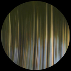 Sideral Tapes #5
