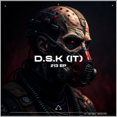 D.S.K (IT) - Last Night