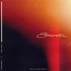 Shawn Mendes, Camila Cabello - Senorita (Nice & Wise Remix)