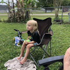 Ants Inside The House