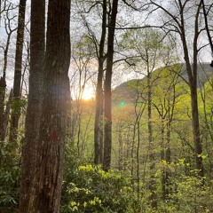 Morning Medley