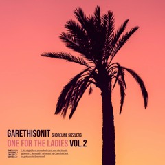 One for the Ladies Vol.2 - GarethisOnit (2012)
