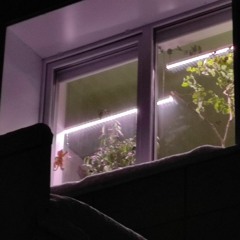 Sunday Morning (Demo)