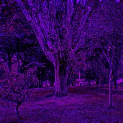 §PurpleLine |Hause| B2B§ • KEPLER-6 x Altact