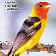 [Get] EBOOK 📝 Birds of Southern California: A Guide to Common & Notable Species (Qui