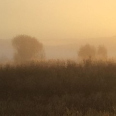 sunxain