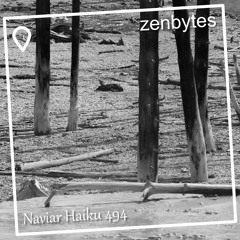 silent sentinels - Naviarhaiku 494