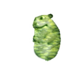 Chomcore
