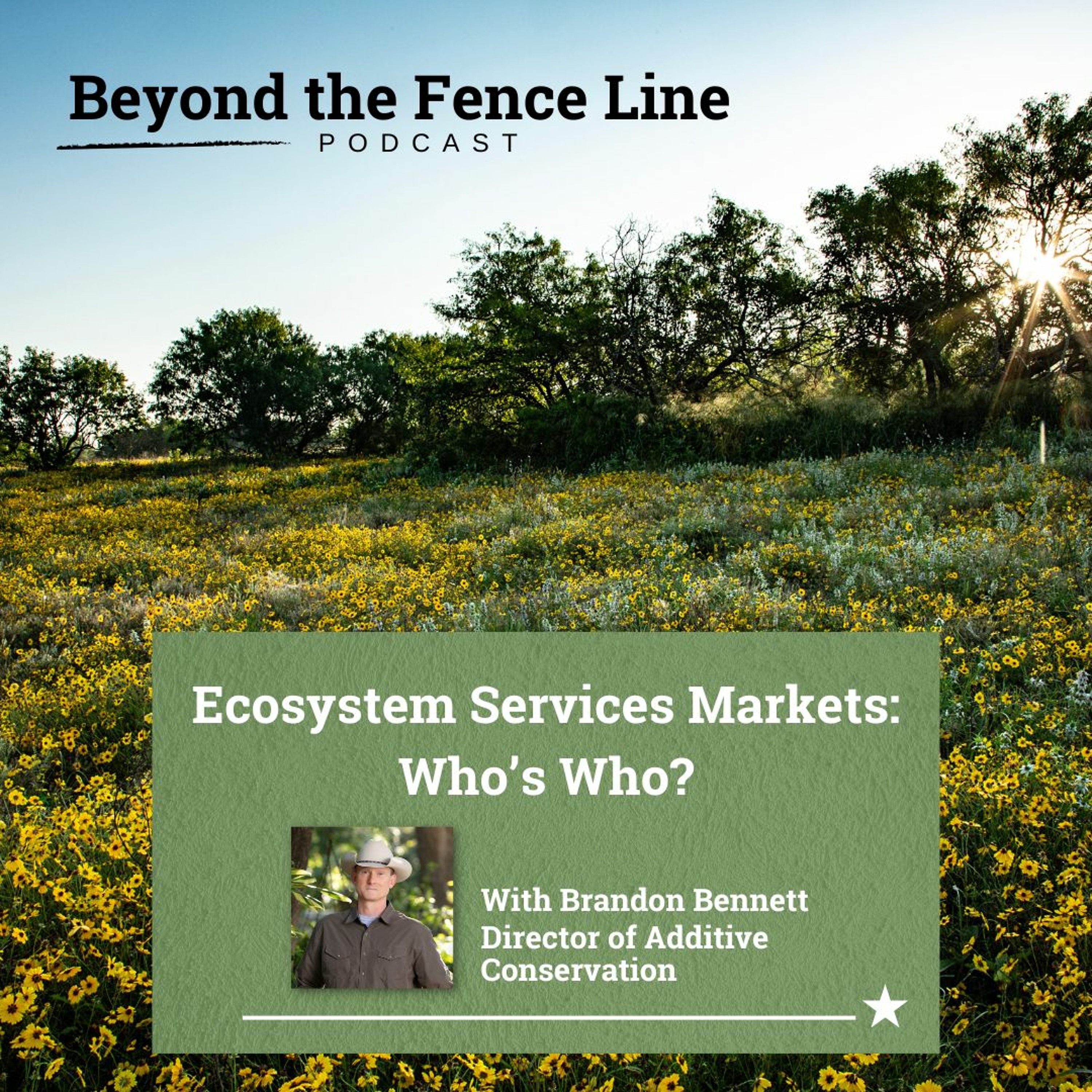 Beyond The Fence Line Episode 37 - Ecosystem Services Markets: Who's Who?