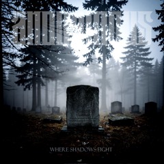 Where Shadows Fight (Acoustic) - HQ