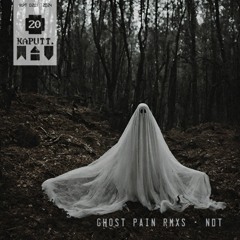 PREMIERE: Nuclear Digital Transistor - Ghost Pain (Curses Remix) [Kaputt.wav]