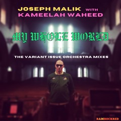 My Whole World (Variant Issue Orchestra Vocal Remix)