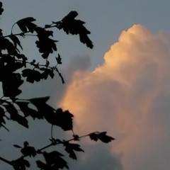 send me the invite (rough demo)