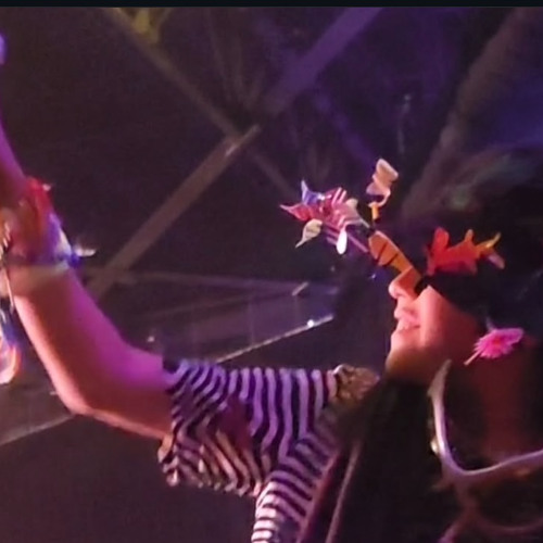 Voices in my head PHOENIX remix