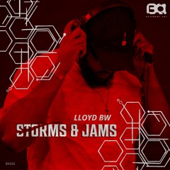 Lloyd BW - Storms & Jams EP