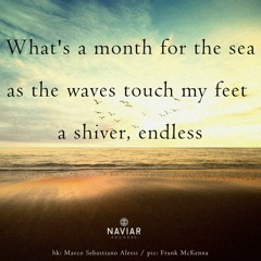 A Month For The Sea (naviarhaiku528)