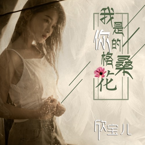 Stream 我是你的格桑花by 欣宝儿 Listen Online For Free On Soundcloud