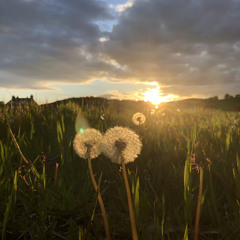 Your Heart In My Hand/My Heart In Your Hand