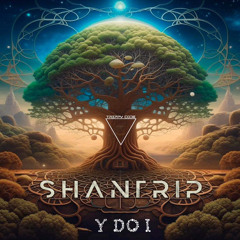 Y do I - Shantrip (Radio Mix)