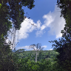 Kassav - O la ou Yé (nks remix)