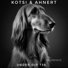 Kotsi & Ahnert UNDER DIP Ep. 736 Progressive House (120-121bpm)
