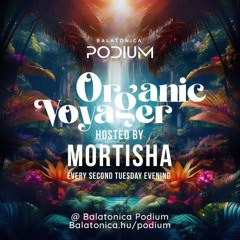 DJ Mortisha - Organic Voyager vol. 5