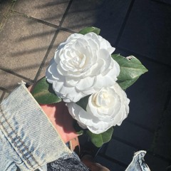 copies of imperfection