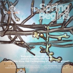 Memories2023:The Spring Begins Band Version