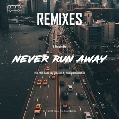 Lifebirds - Never Run Away (George Grey Remix)