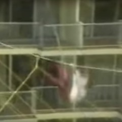 Libra Decan Tightrope Demon