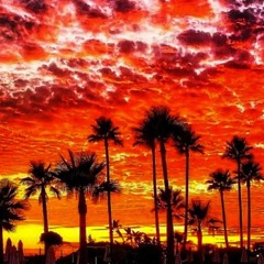 In Search For Novelty (Original Mix)