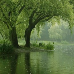 Khó Sinh Hận - Lễ Việt | 难生恨 - 礼越