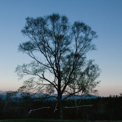 BEAU PAYSAGE (Harvest Rain ver.)