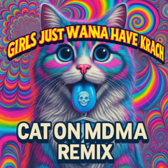 Girls Just Wanna Have Krach (Cat On MDMA Remix)