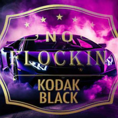 No Flockin in the Purple Lambo