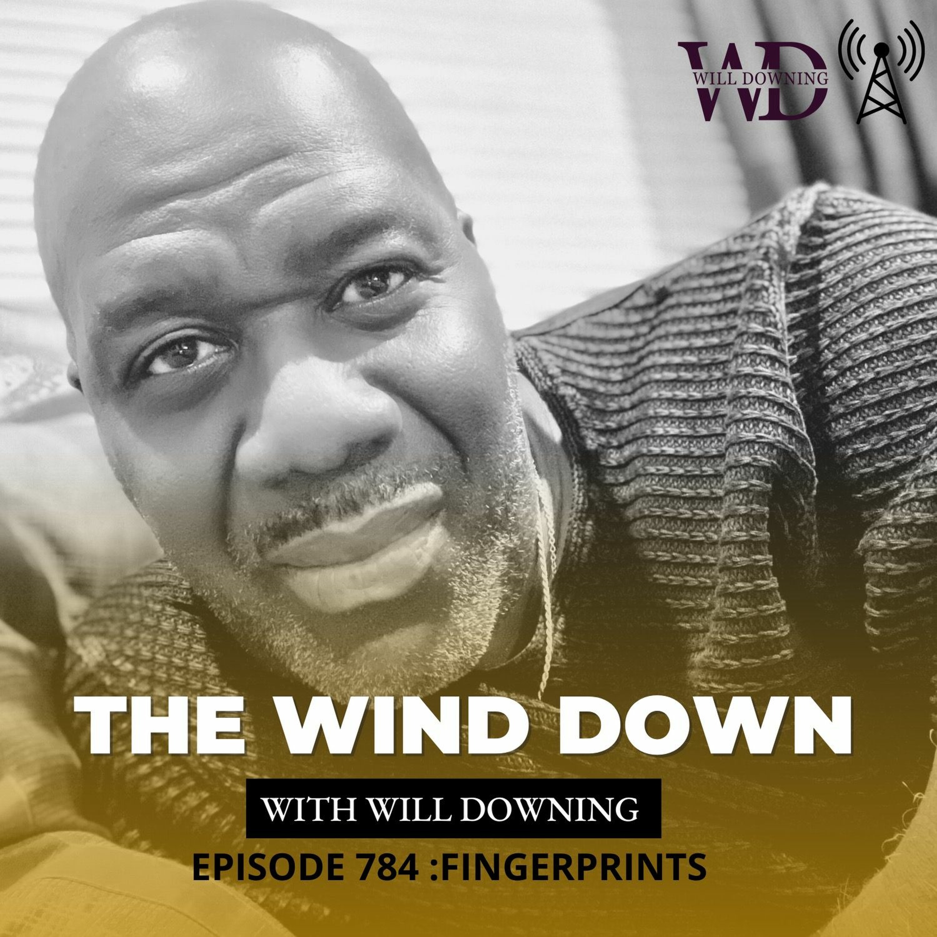 WIND DOWN FINGERPRINTS episode artwork