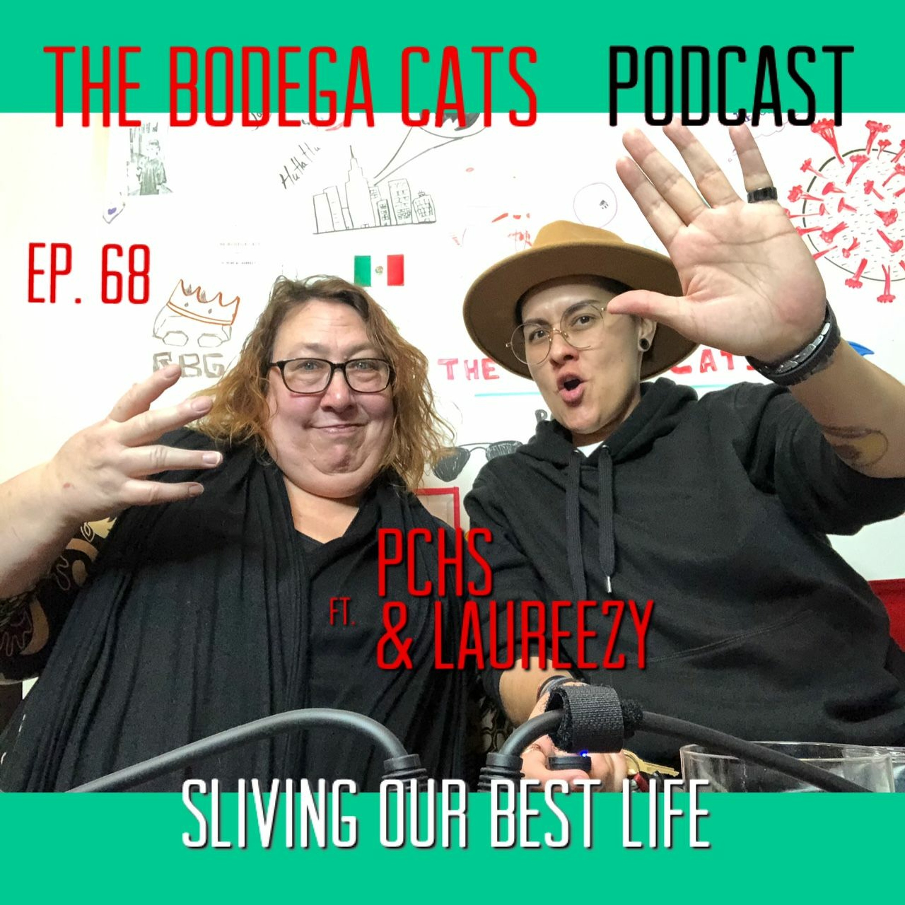 The Bodega Cats Podcast