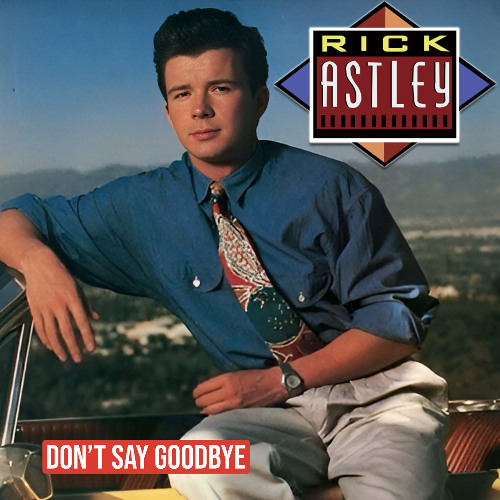 Don't Say Goodbye (K-W-G Enjoy Yourself Mix) RICK ASTLEY