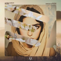 Alper Gürsoy - Dilber