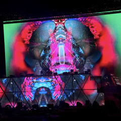 Liquid Stranger Tripped Set - Wakaan Rocks 2024