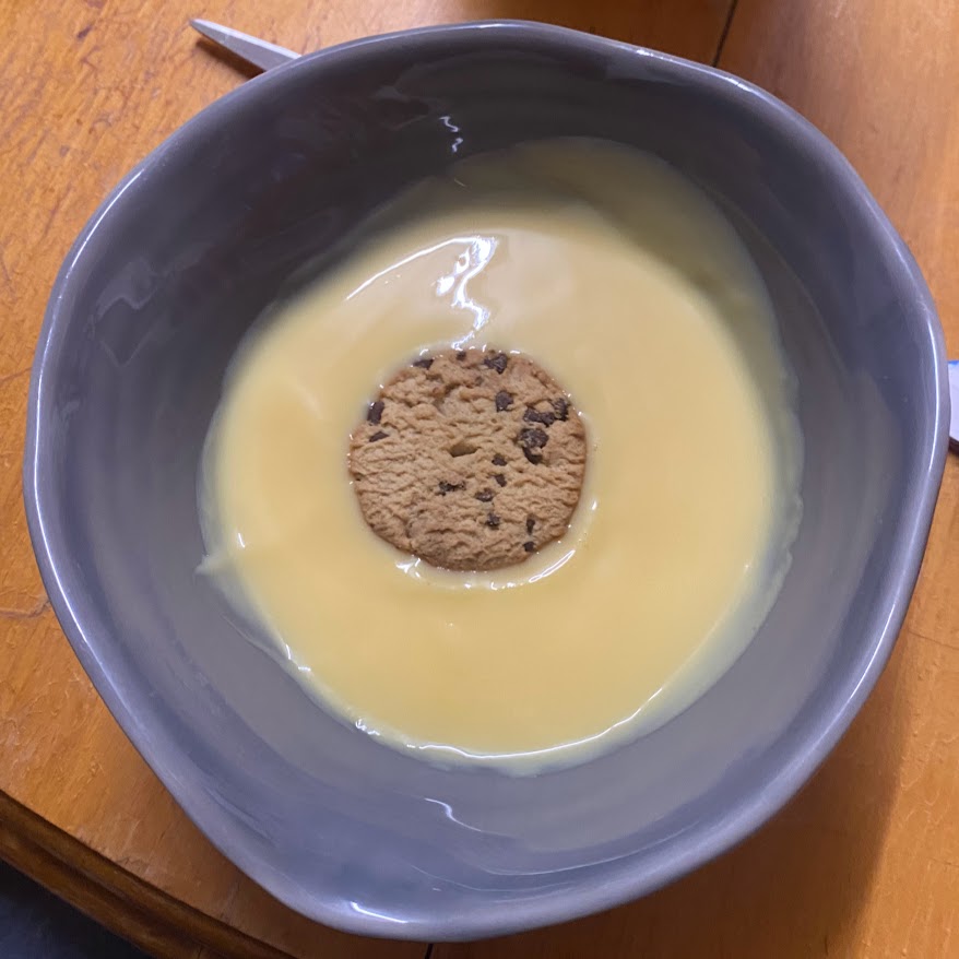 Homemade Custard