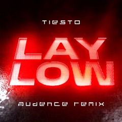 Tiesto - Lay Low (Audence Bootleg)