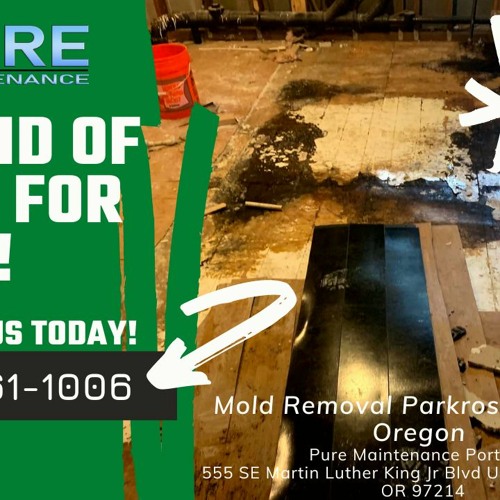 Mold Removal Parkrose Portland Oregon - Pure Maintenance Portland - 503-461-1006