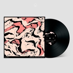 V.I.C.A.R.I. - MORNING NOON AND NIGHT