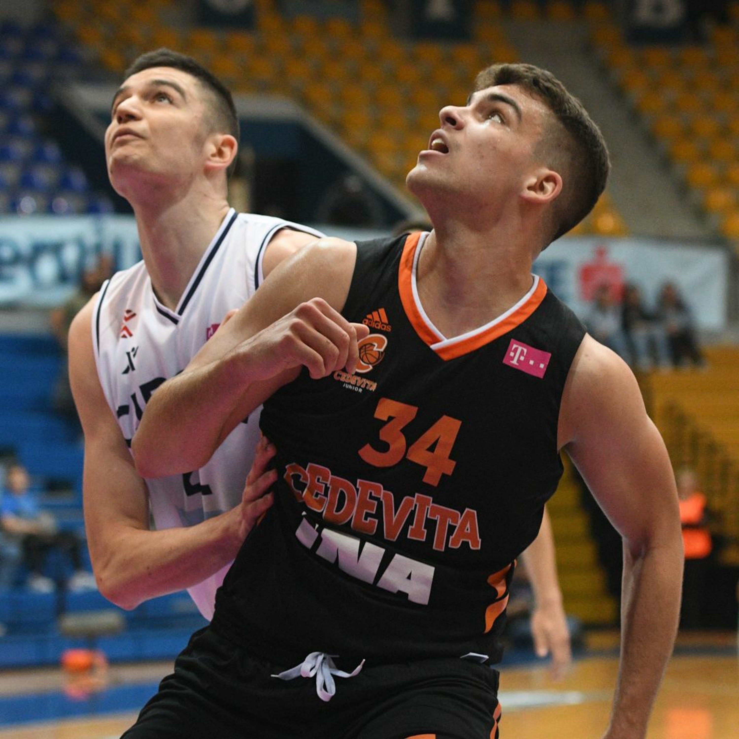 kkcedevita