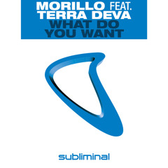 What Do You Want (Erick Morillo Club Mix) [feat. Terra Deva]